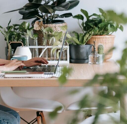 Creating a Cozy and Productive Home Office: Practical Tips
